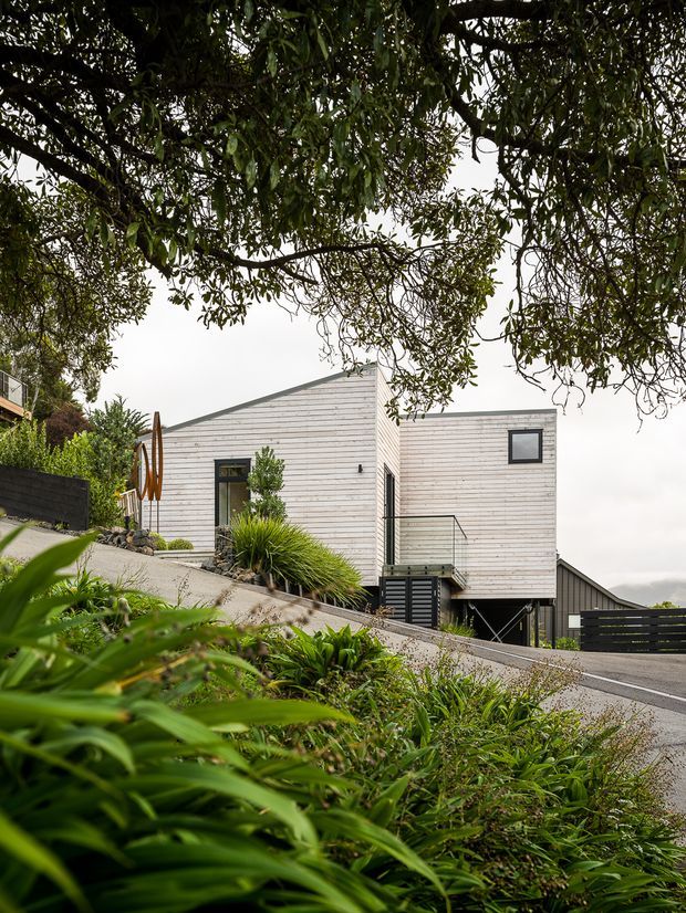 Exterior view of a compact contemporary house on a sloped site, framed by mature tree branches and layered landscaping. The building features pale horizontal weatherboard cladding, simple angular roof forms, dark-framed windows and doors, and a raised lower level with a small stair and balcony. A sloping driveway and planted garden occupy the foreground.