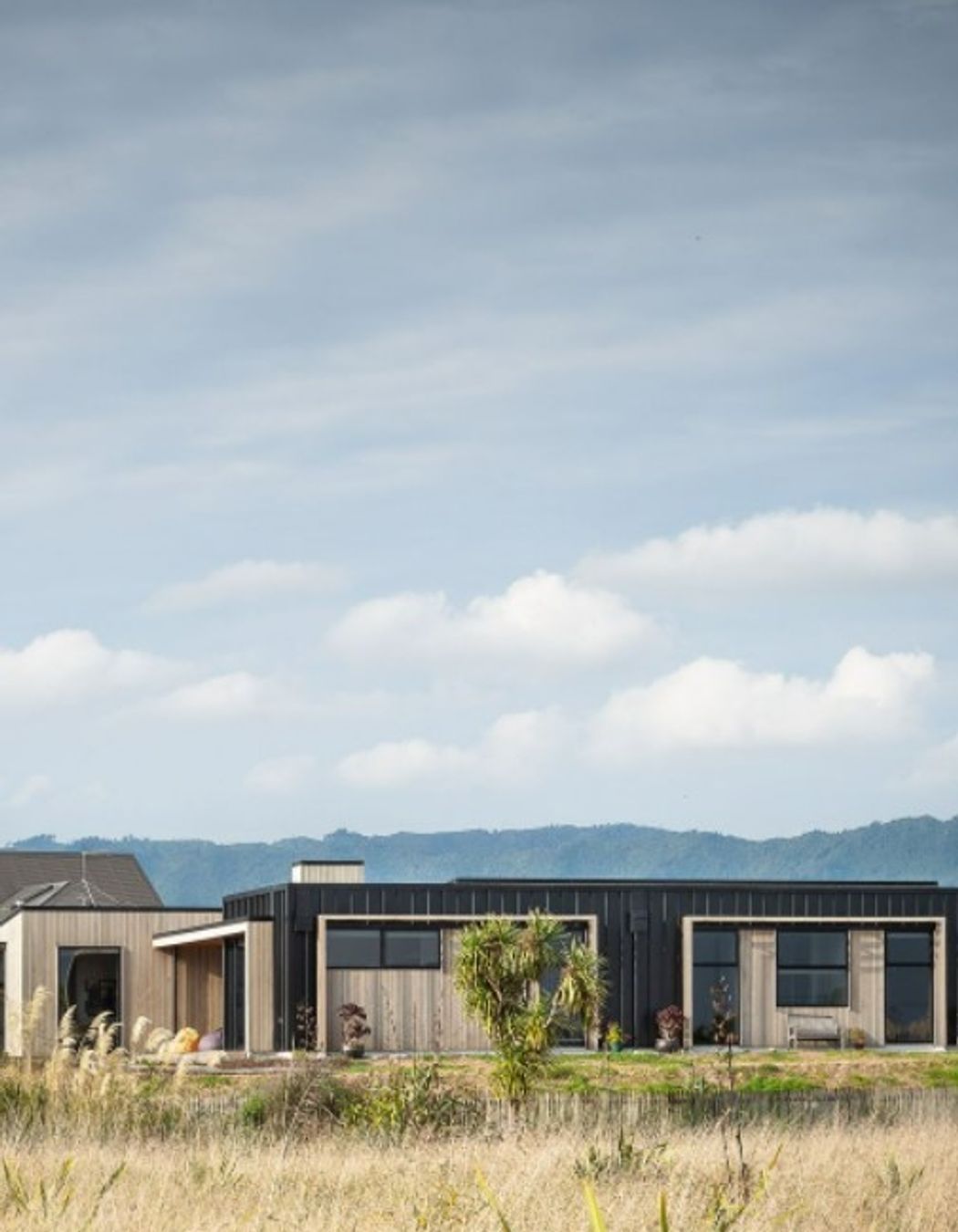 Coastal Estuary House