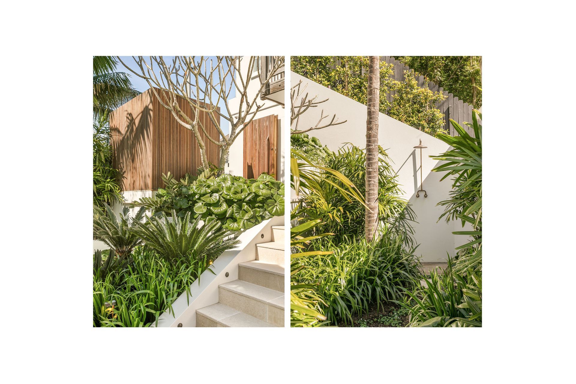 PD24-Wolaroi-Cres-Tamarama02.jpg