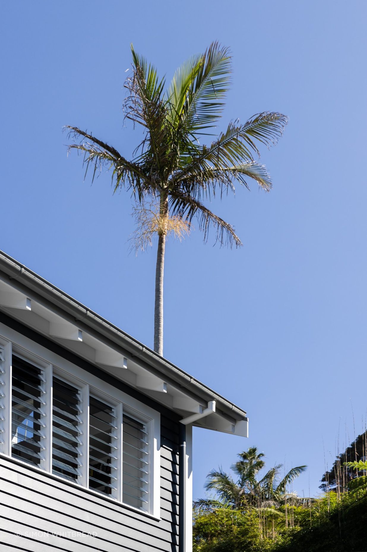 PPwhalebeachrd060.jpg