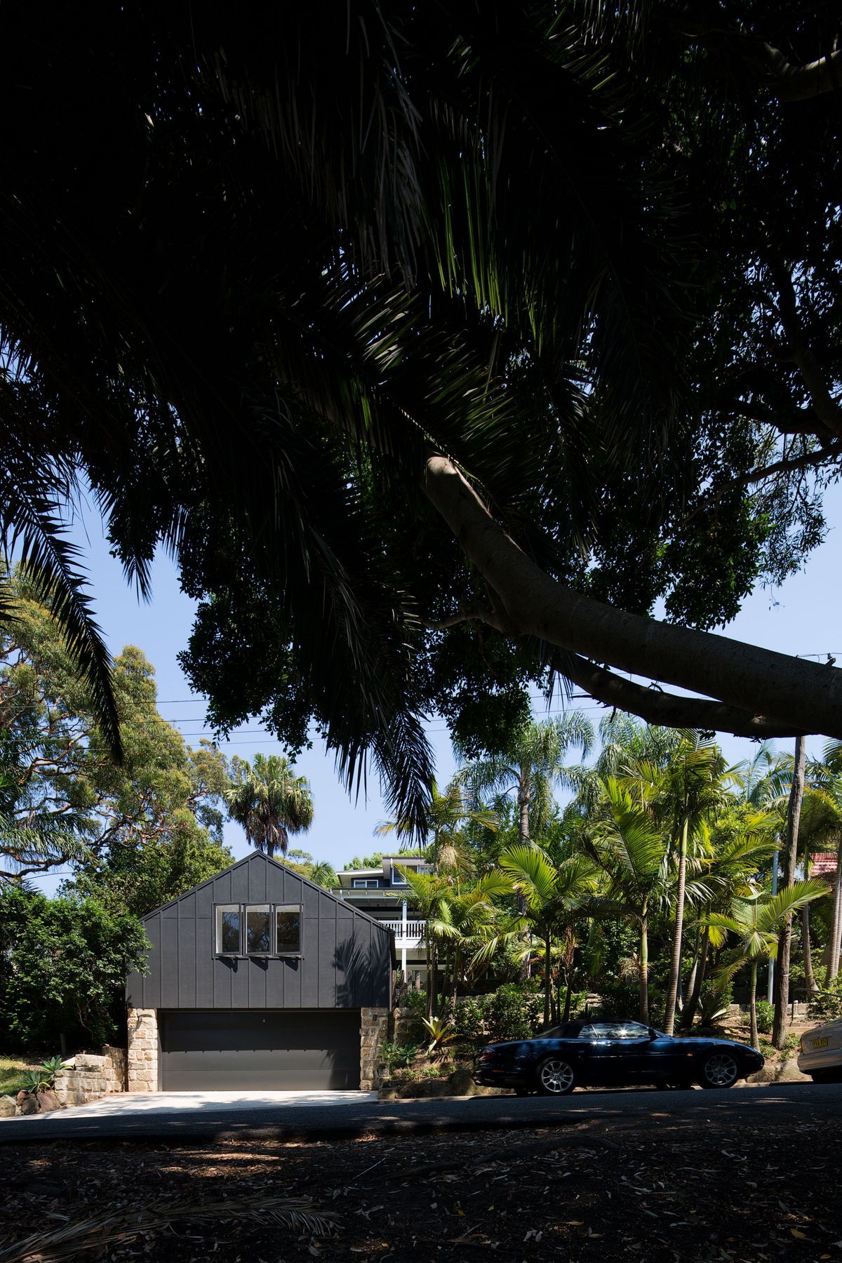 Bellevue Small House