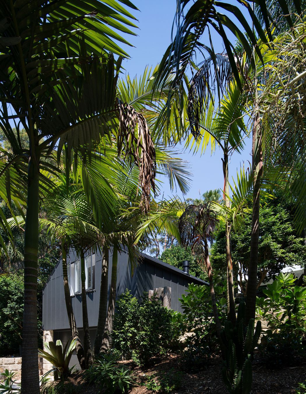 Bellevue Small House