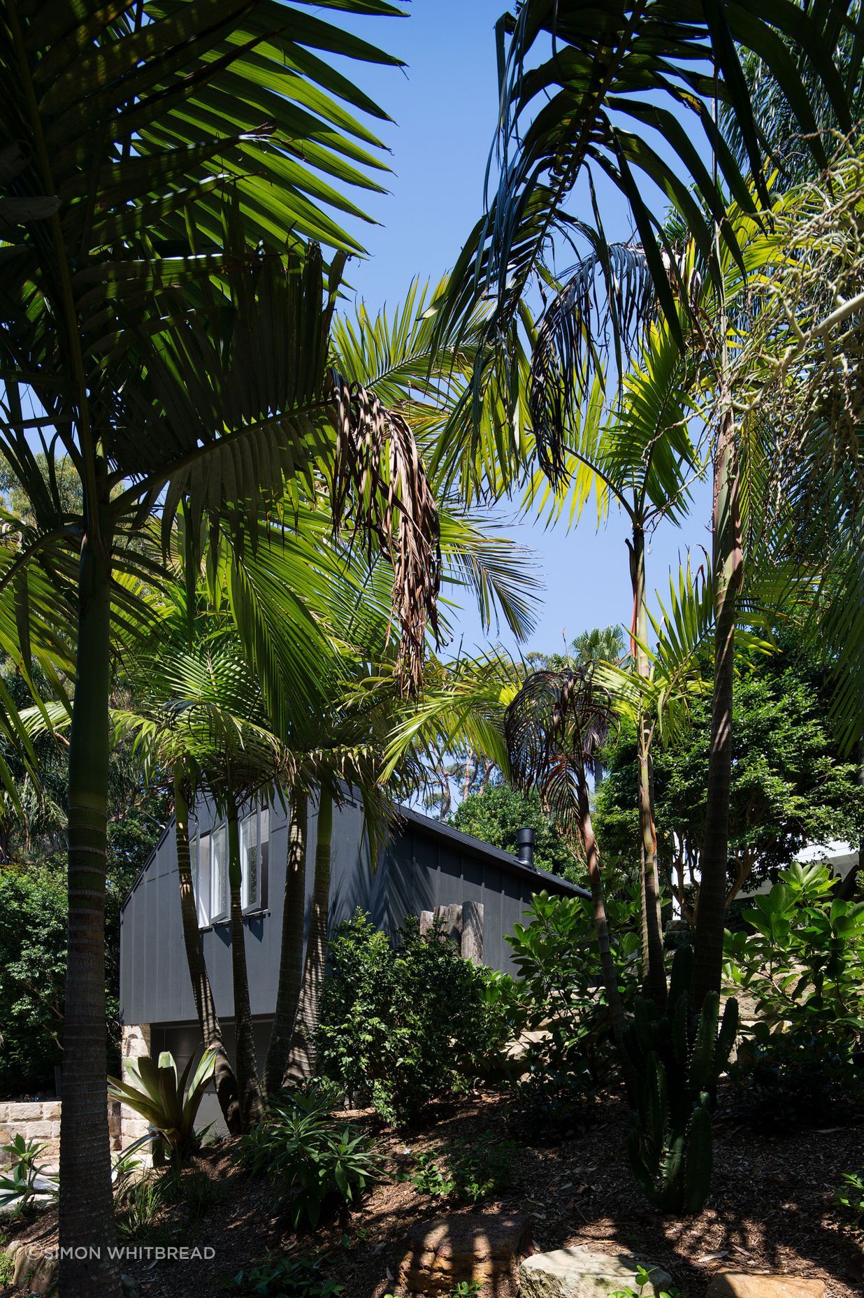 Bellevue Small House