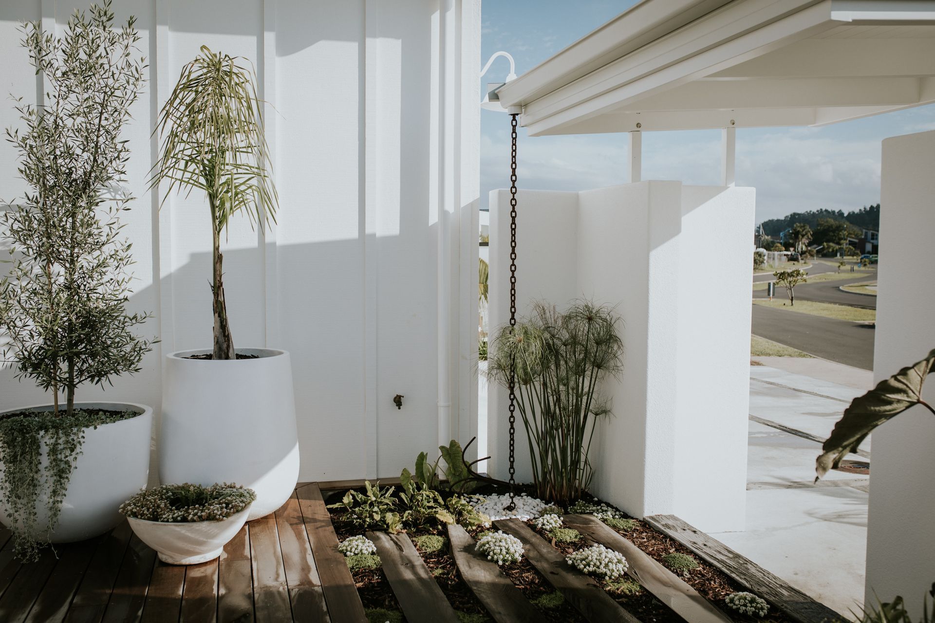 Savage~ Whitianga Waterways