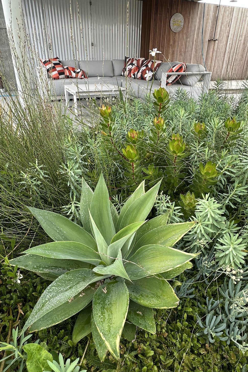 SouthshoreBotanic28.jpeg