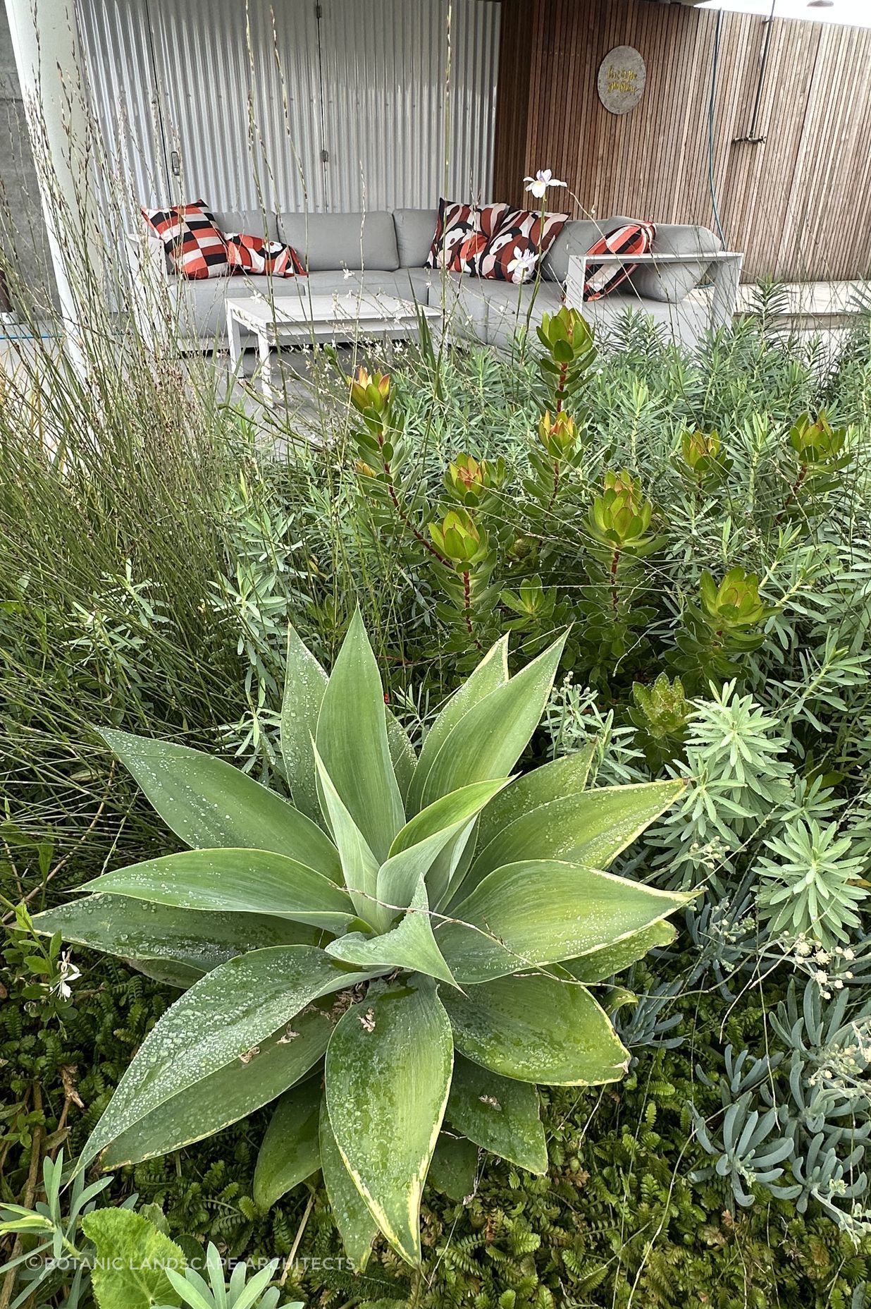 SouthshoreBotanic28.jpeg