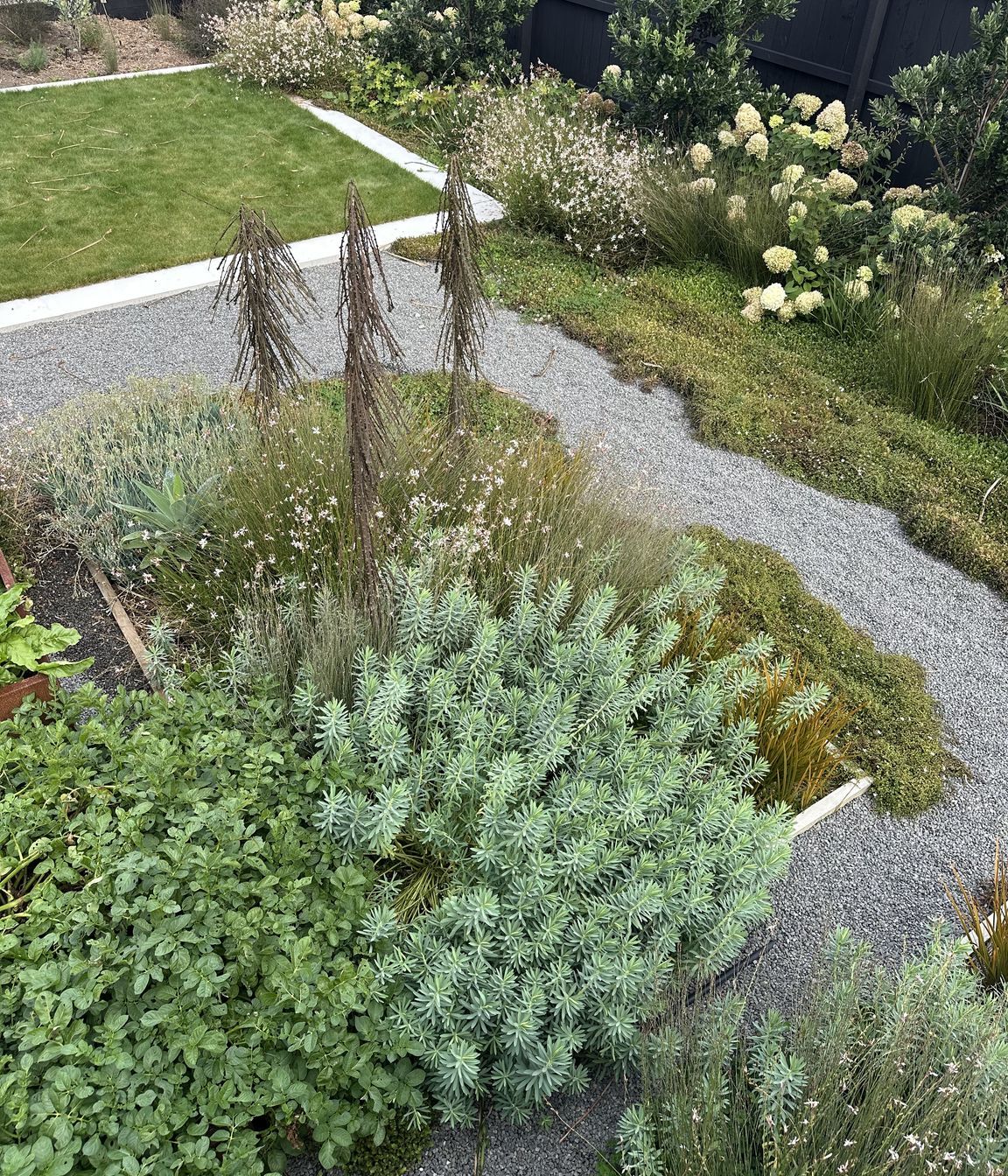 SouthshoreBotanic64.jpeg