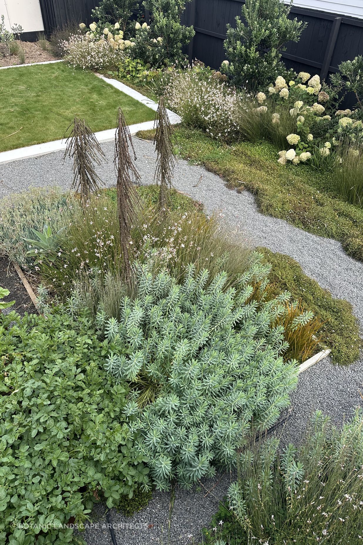 SouthshoreBotanic64.jpeg