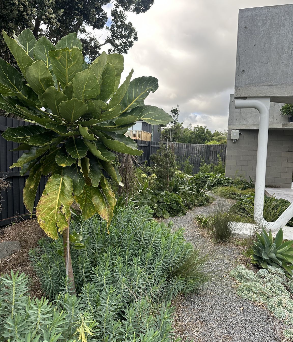 SouthshoreBotanic73-v2.jpeg