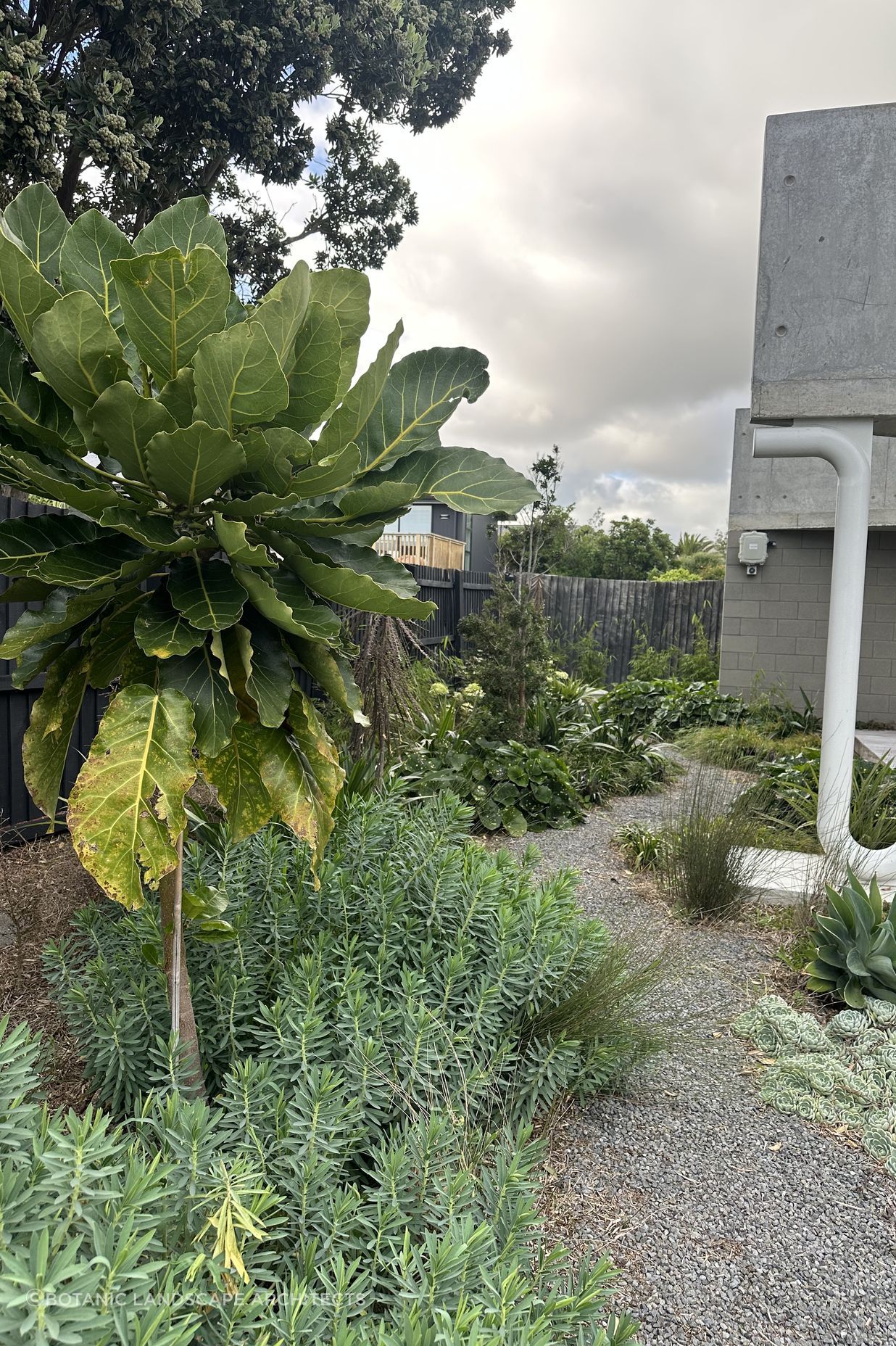 SouthshoreBotanic73-v2.jpeg