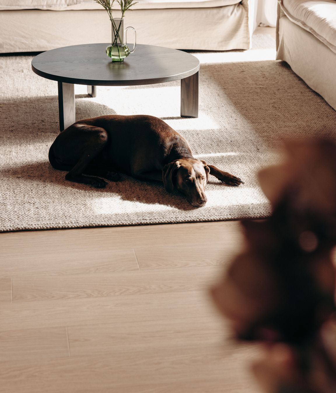 Untitled-Studio-Flooring-Xtra-13a-Lodge-0067.jpg
