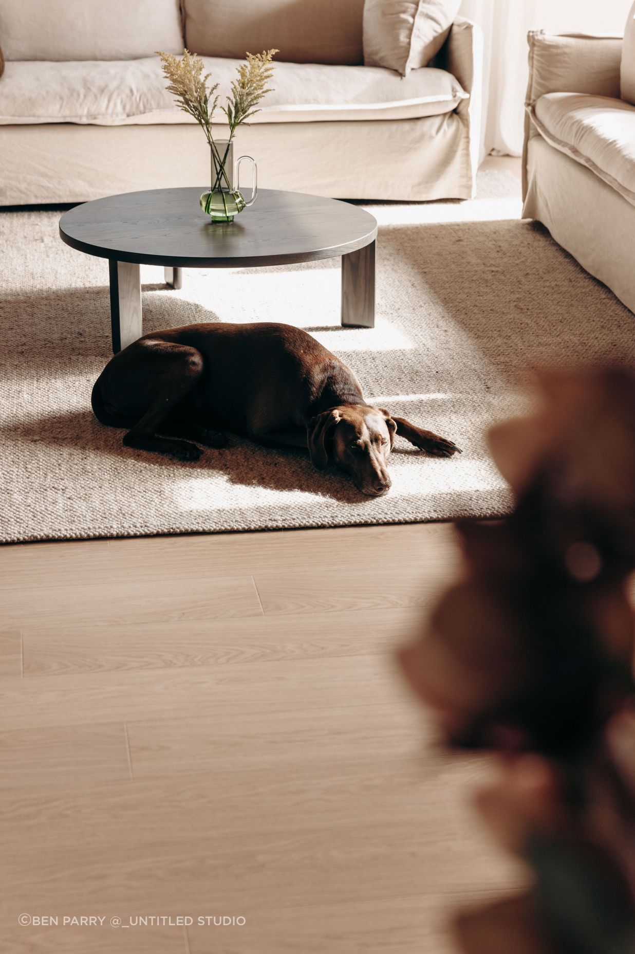 Untitled-Studio-Flooring-Xtra-13a-Lodge-0067.jpg