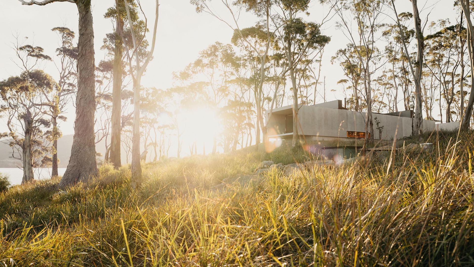 Vipp Tunnel, Bruny Island banner
