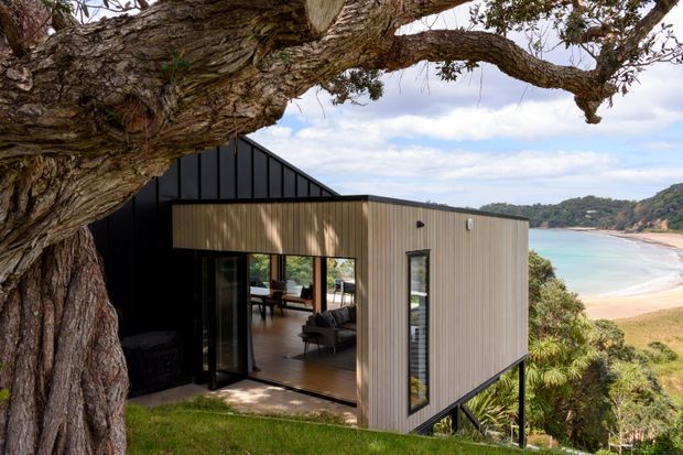 A compact modern coastal home elevated on slender supports above a sloping site, viewed from under a large mature tree. The building combines dark metal cladding with warm vertical timber cladding, extensive black-framed glazing, and a sharply pitched roof section. An open living area is visible through the glazing, while a sandy beach and turquoise bay appear in the background.