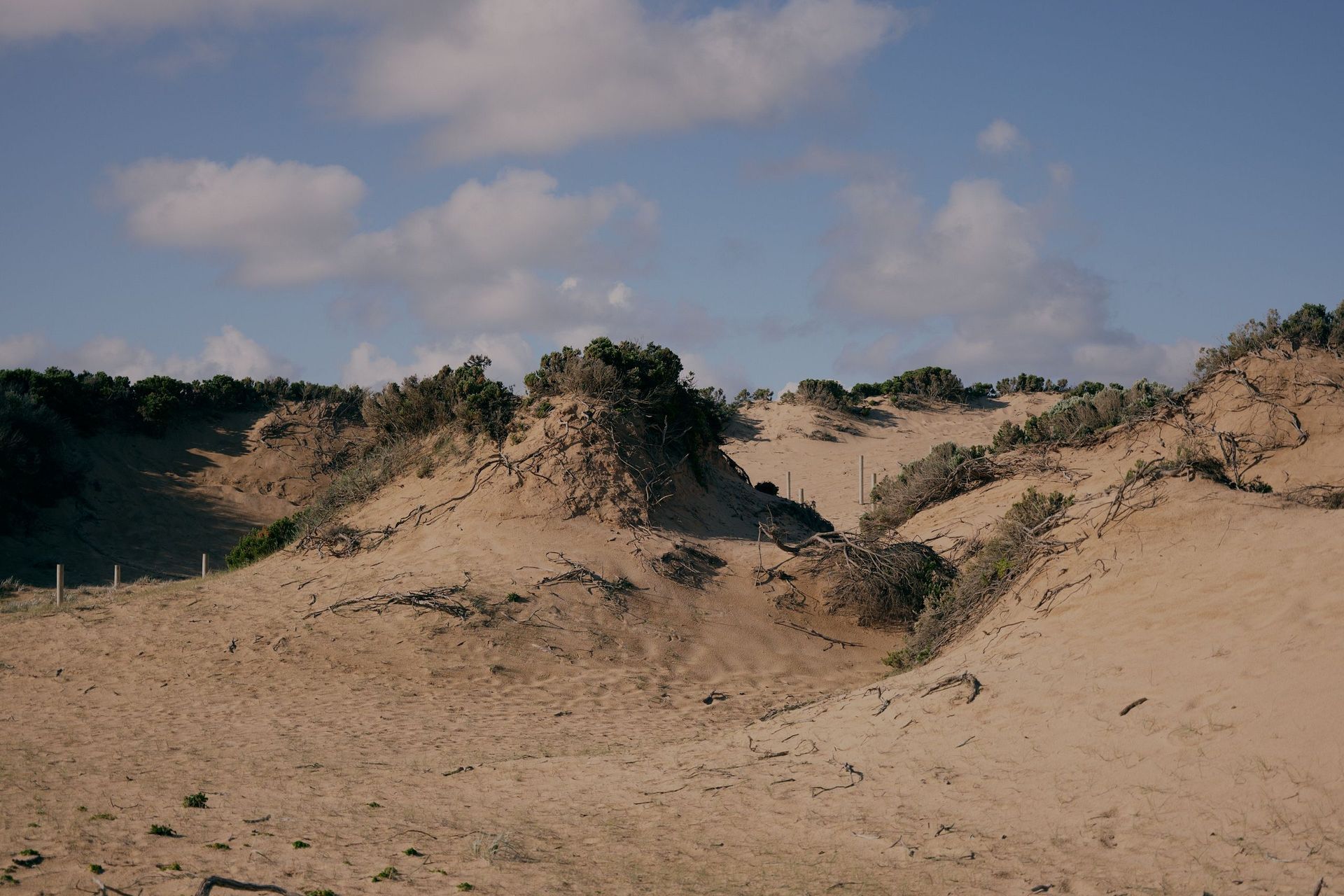 WebResWolveridgeStAndrews499.jpg