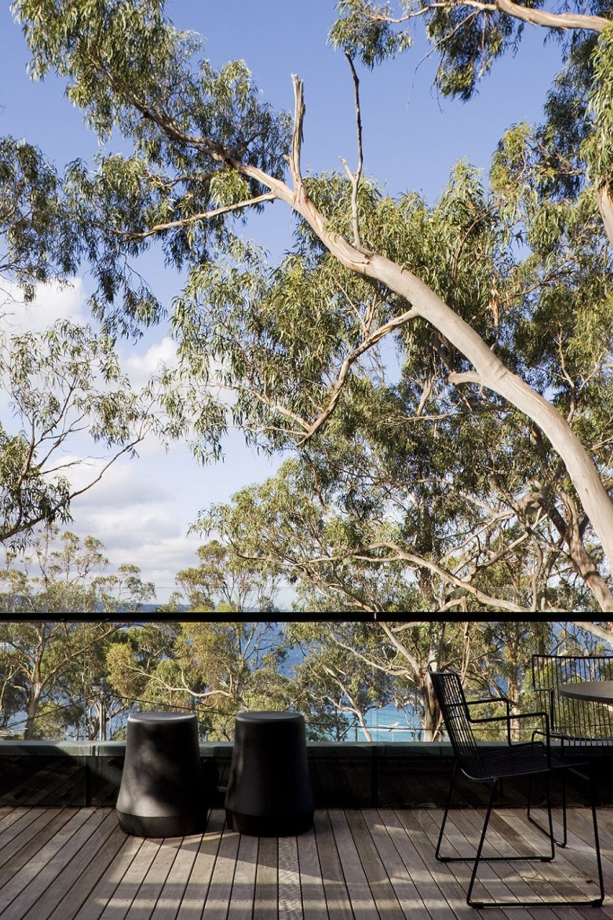 Tree House