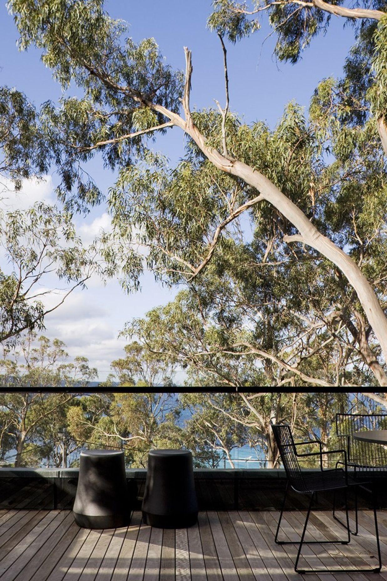 Tree House