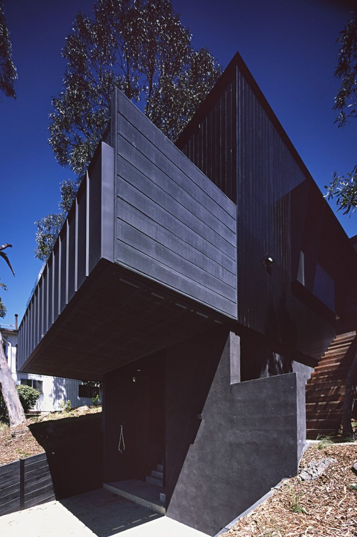 Tree House