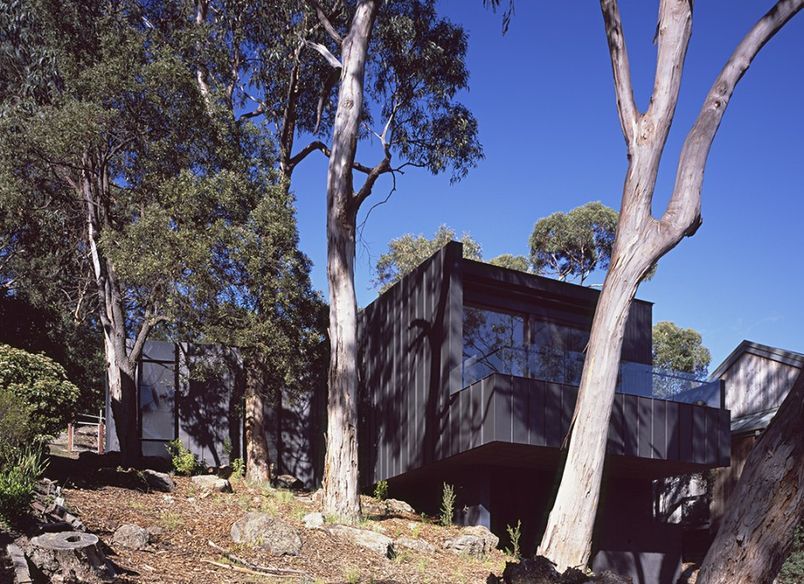 Tree House