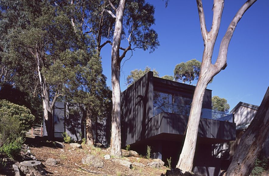 Tree House