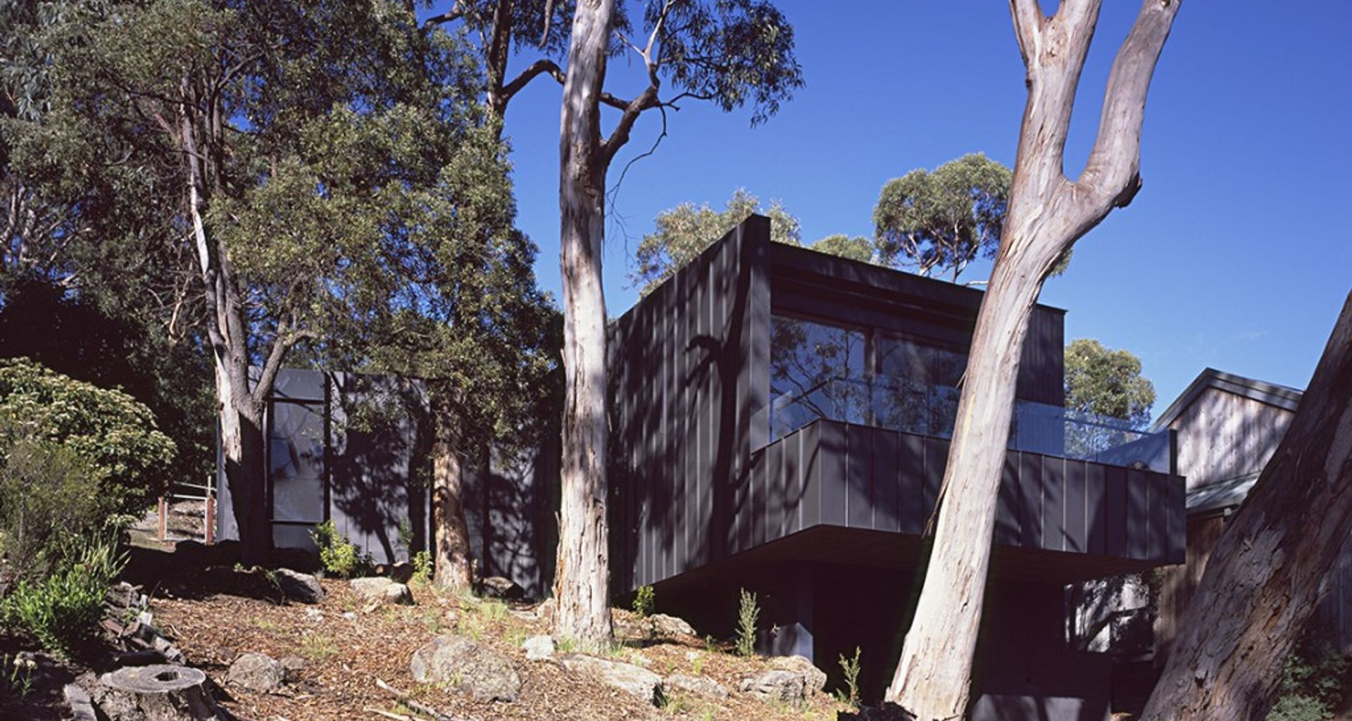 Tree House banner