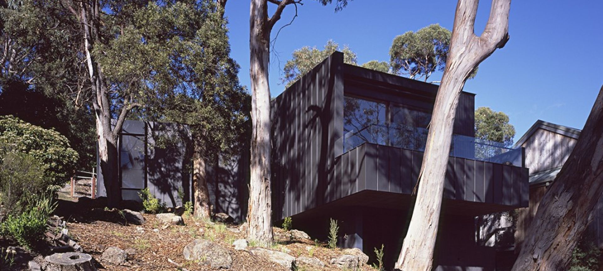 Tree House banner