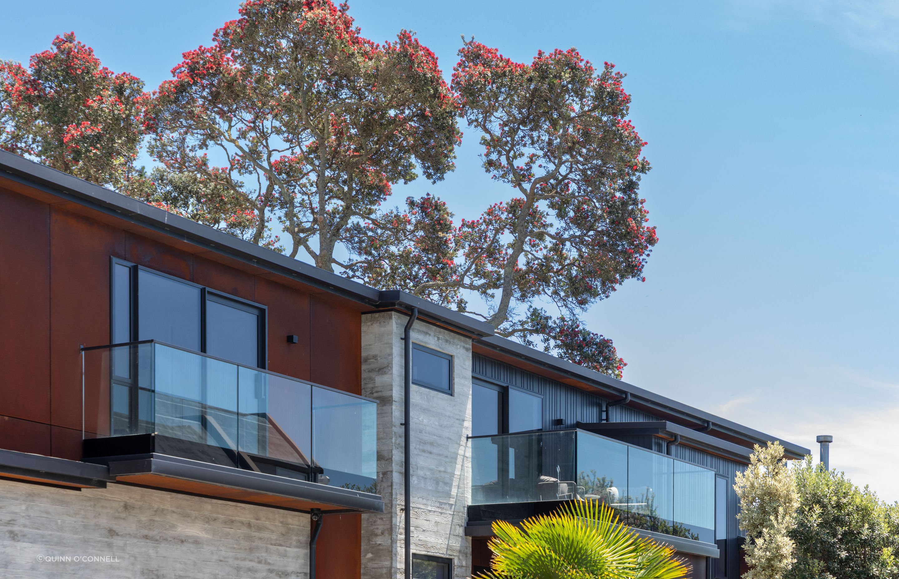 home-exterior-tauranga-builders.jpg