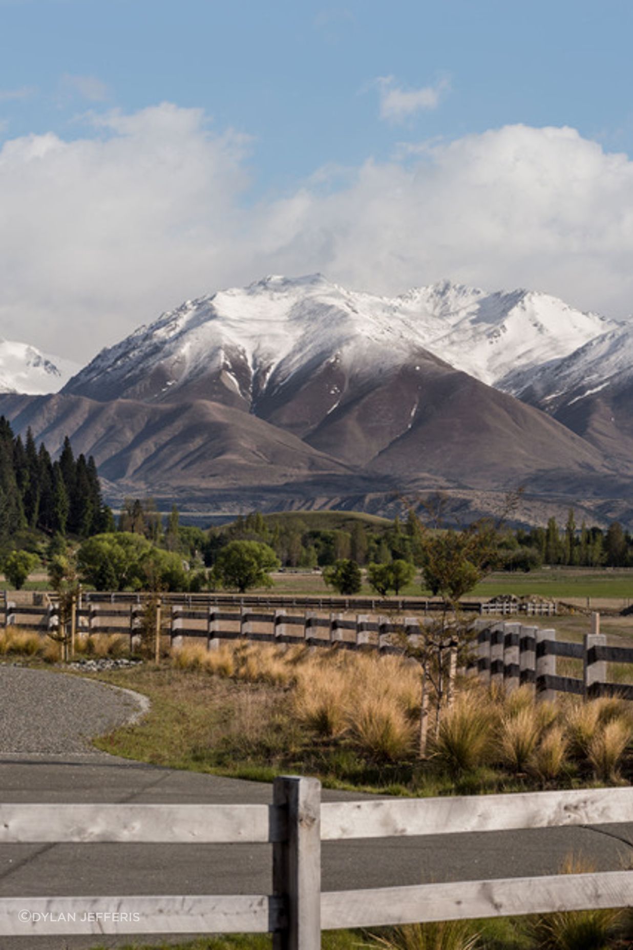 Merino Downs