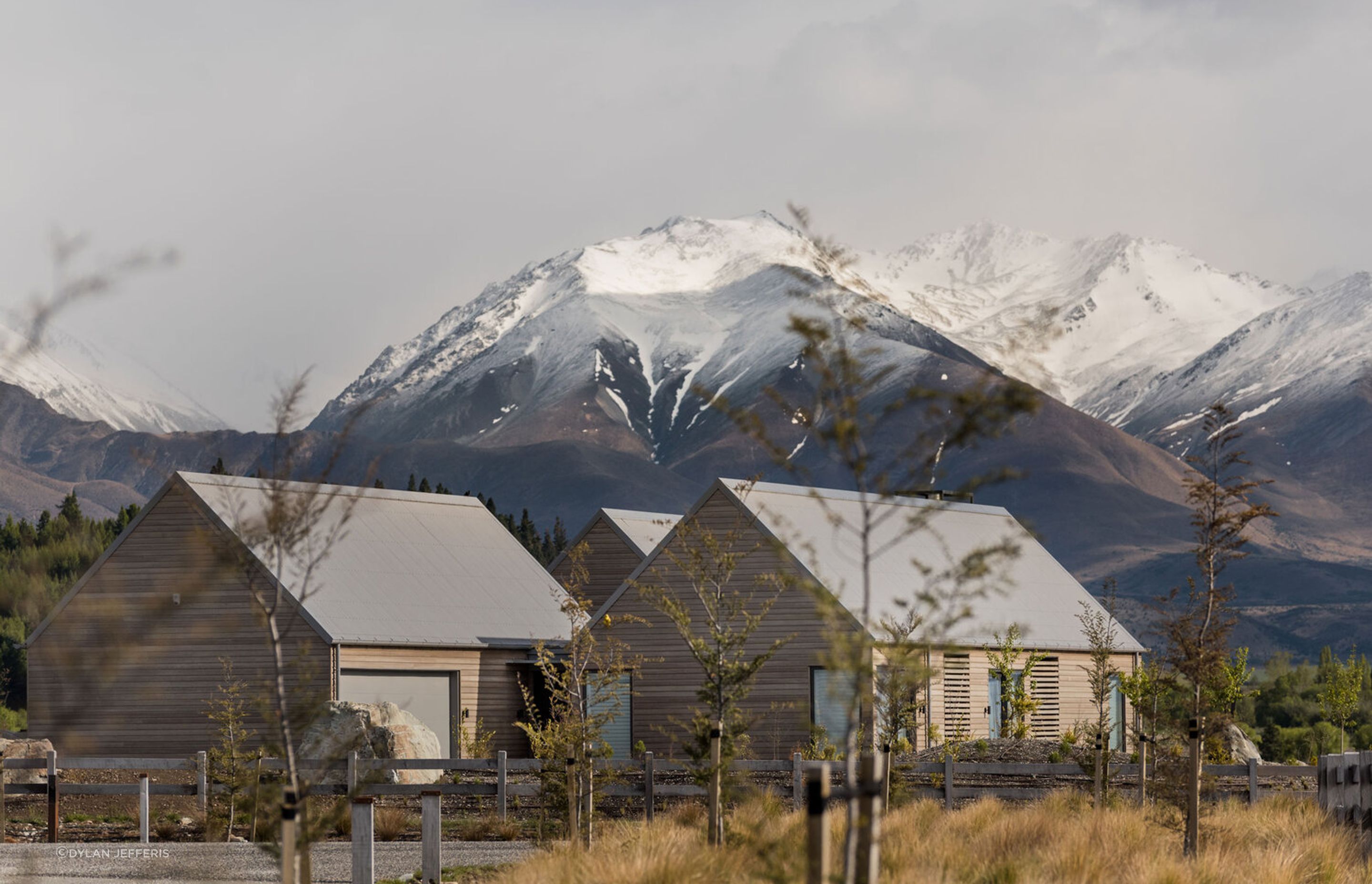 Merino Downs