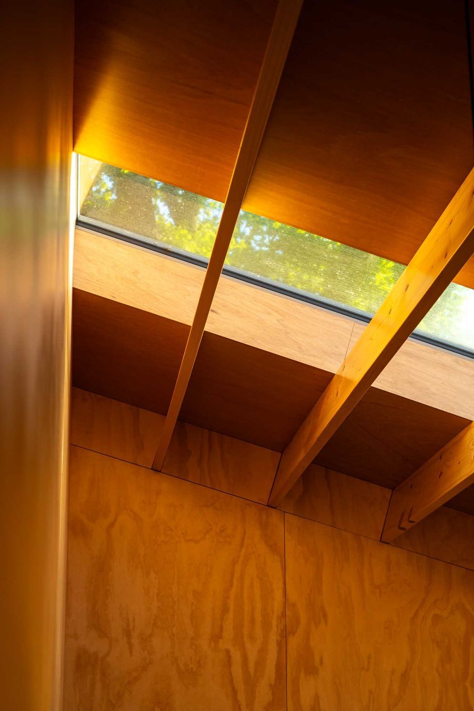 rafe-maclean-architects-kaka-pod-07.jpg