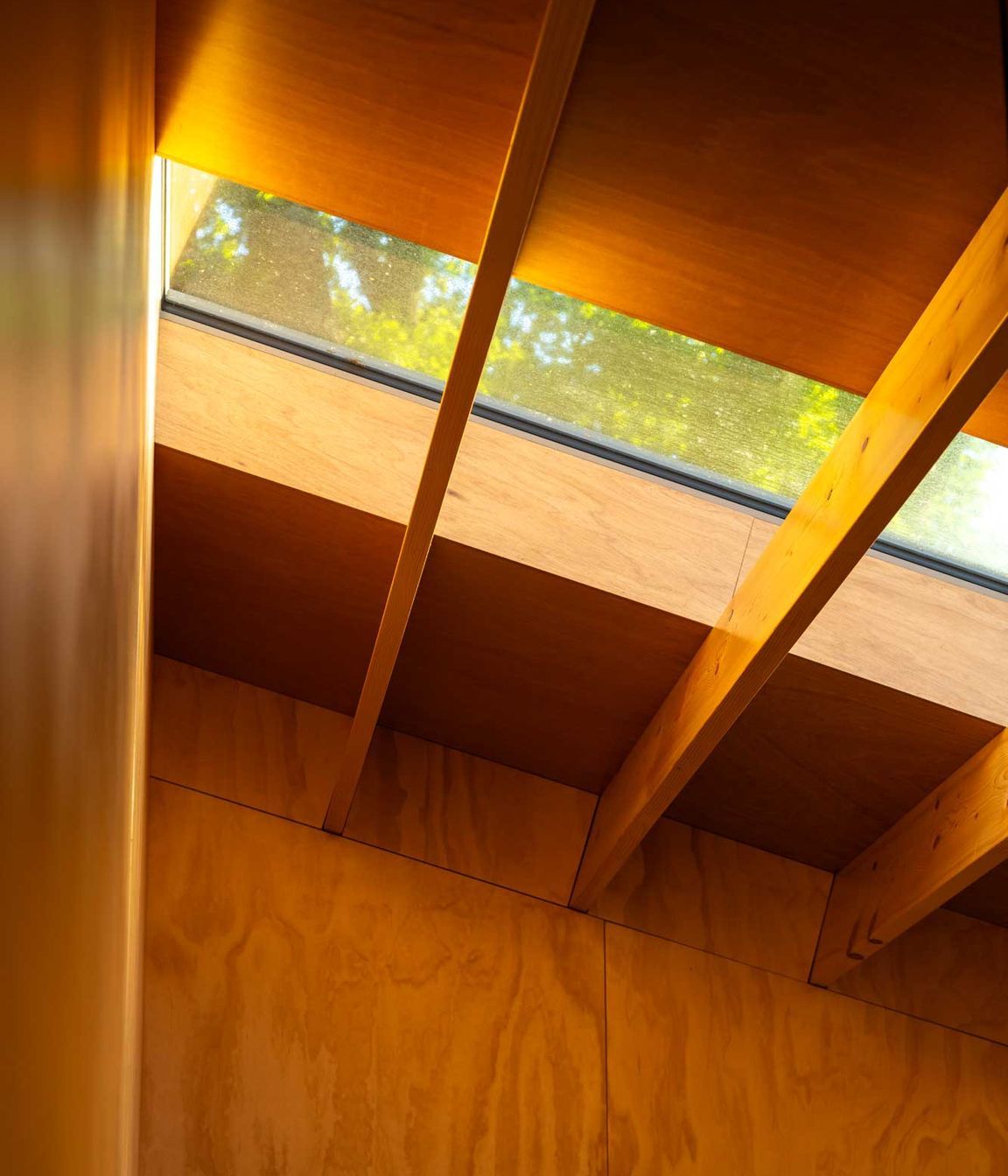 rafe-maclean-architects-kaka-pod-07.jpg