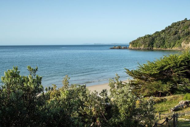 A tranquil coastal landscape viewed from a vegetated elevated shoreline, showing calm blue water, a sandy beach, dense native-looking shrubs, and a forested headland curving into the bay. No building or architectural structure is visible.