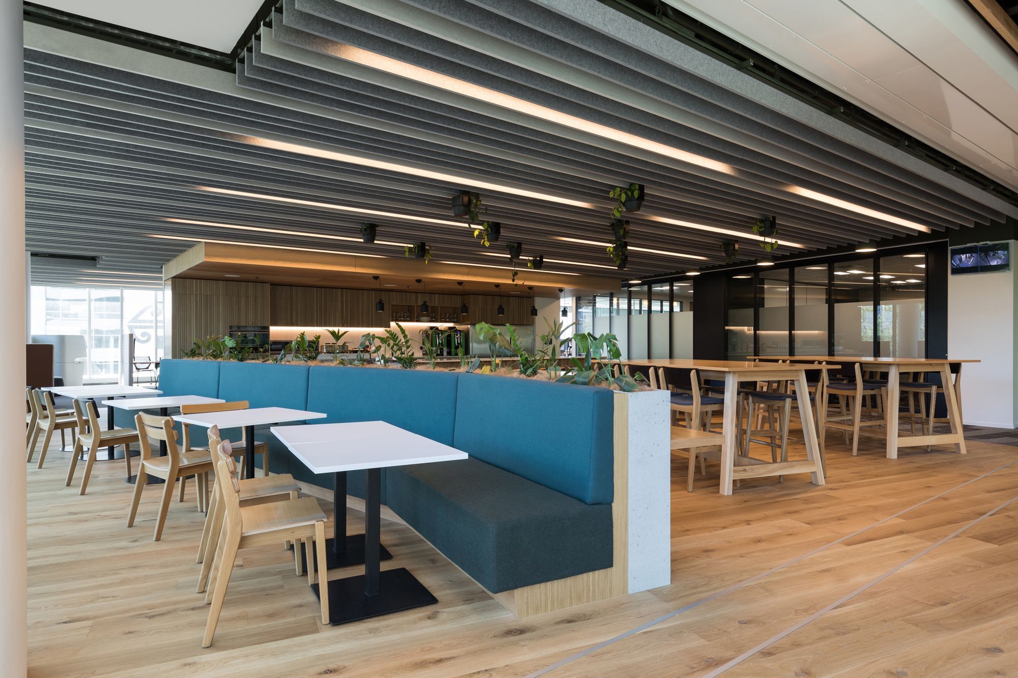 Kiwibank by Jasmax