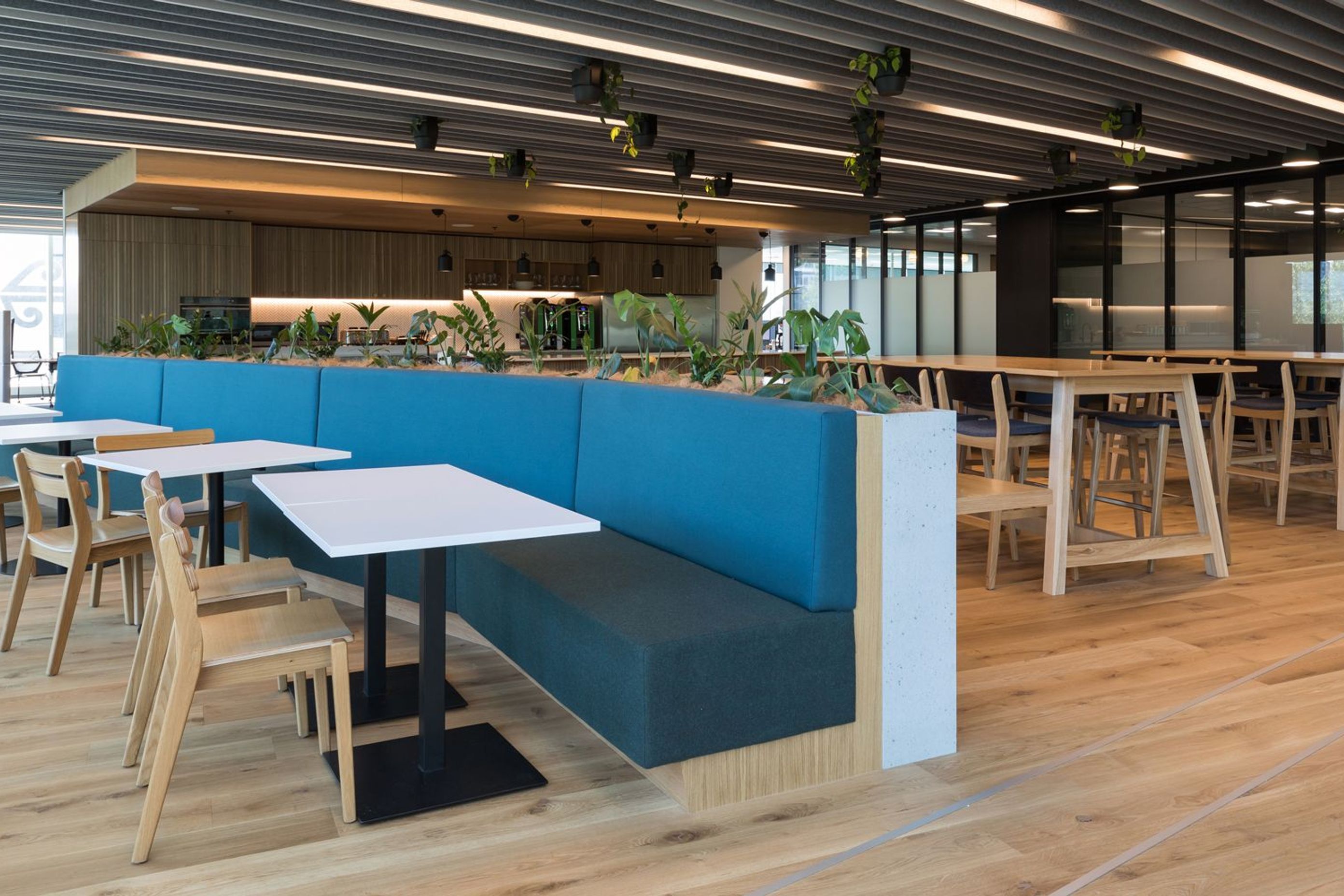 Kiwibank by Jasmax