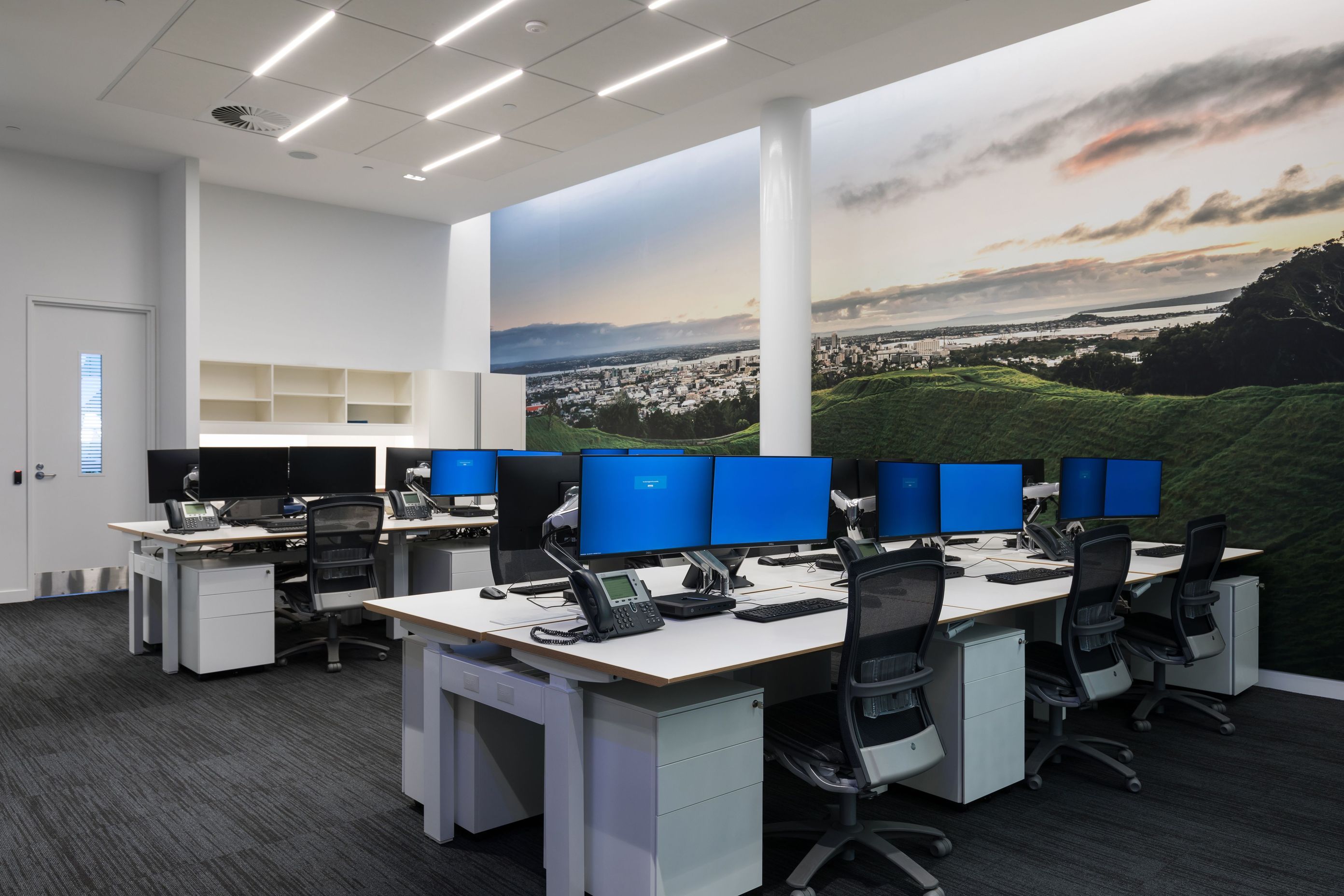 ANZ Eclipse Aluminum Baffle and Gridlux