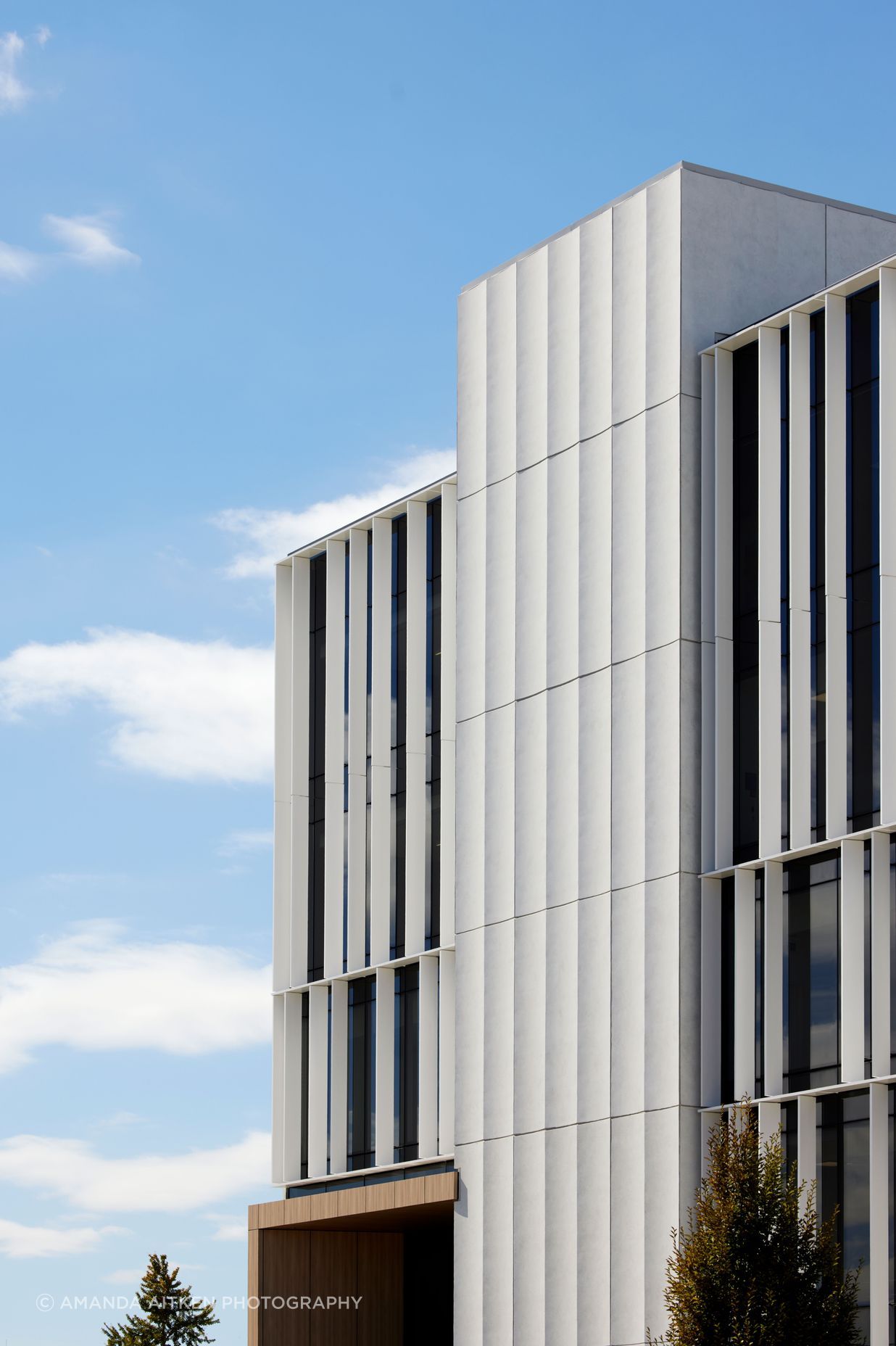 The exterior louvres are functional, carefully allowing natural light into the building's office spaces.