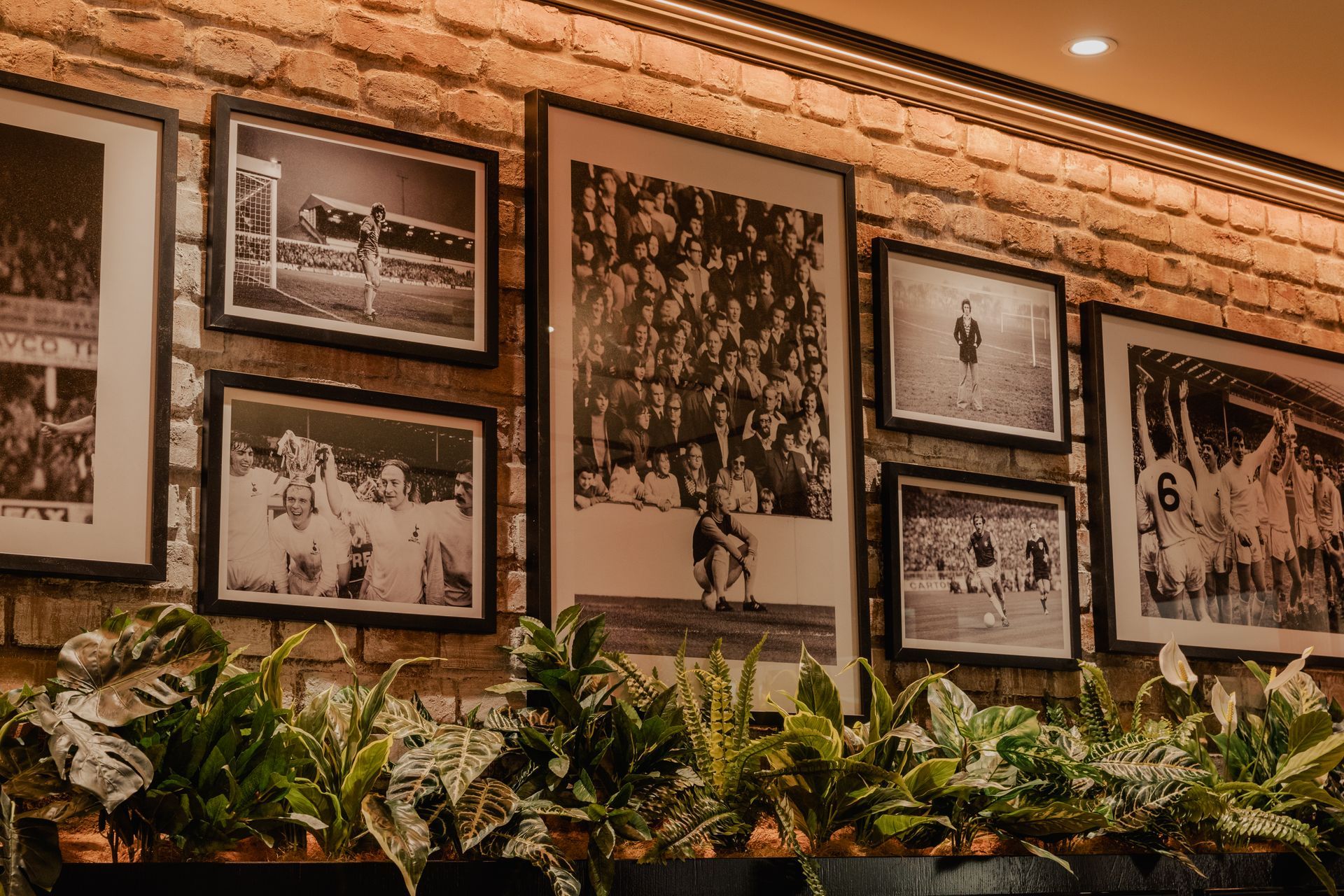 The Fox, A London Pub