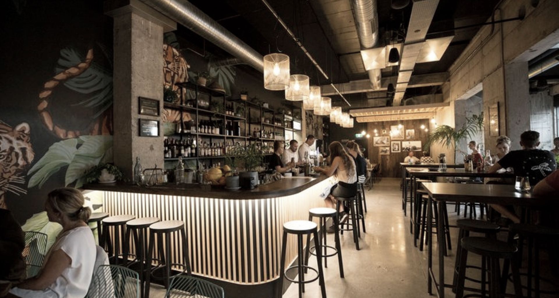 Banh Mi Caphe - Shelving and Signage Backdrop banner