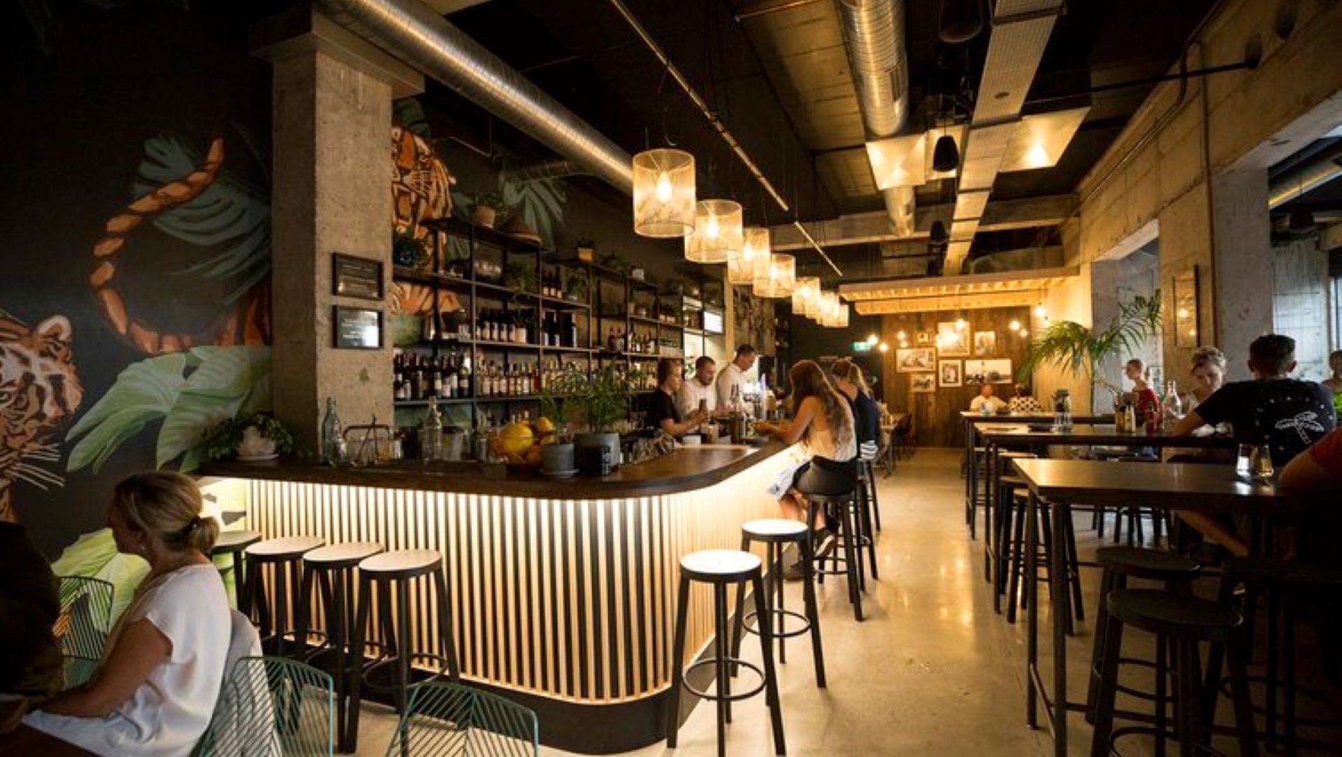 Banh Mi Caphe - Shelving and Signage Backdrop banner