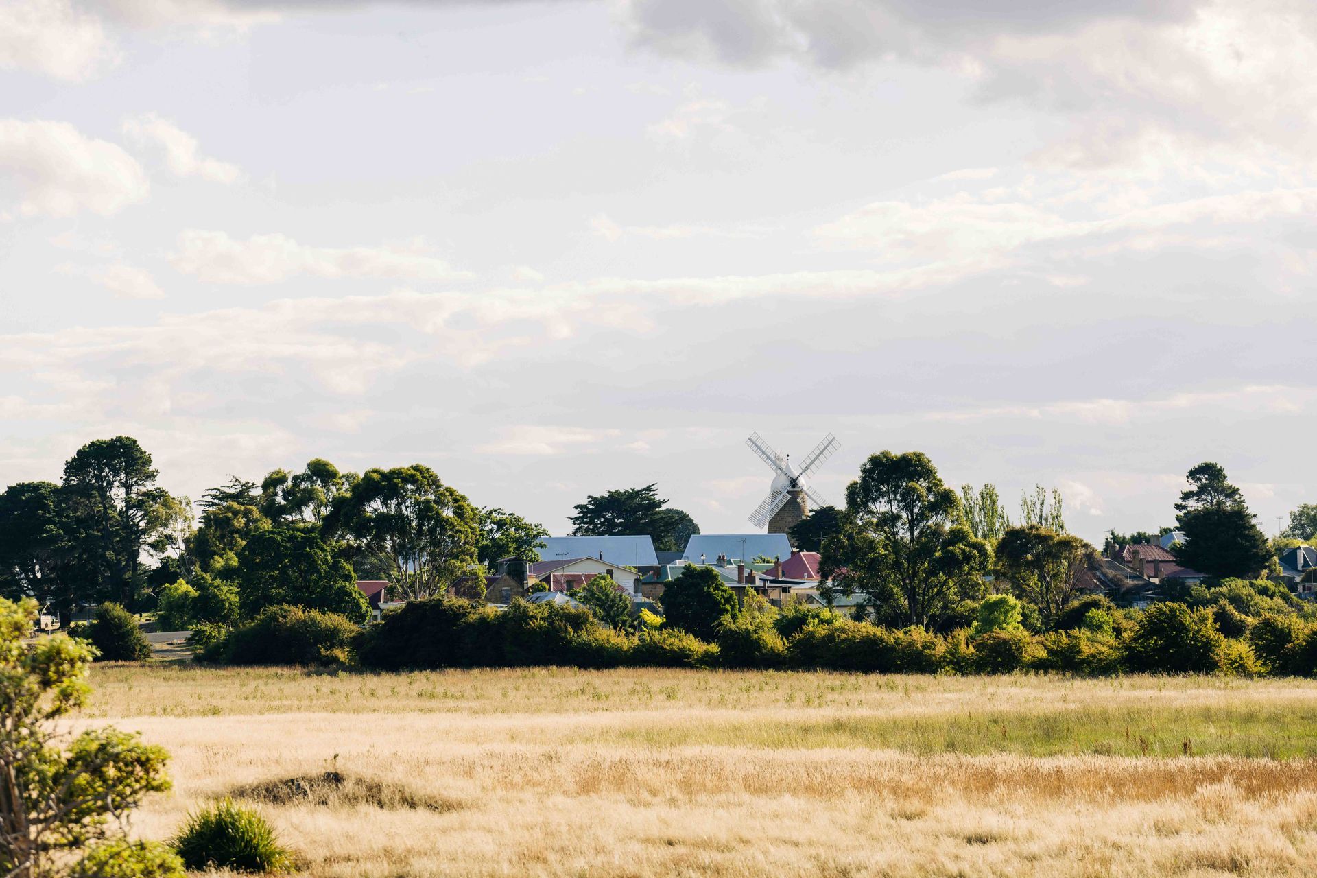 Callington Mill Distillery
