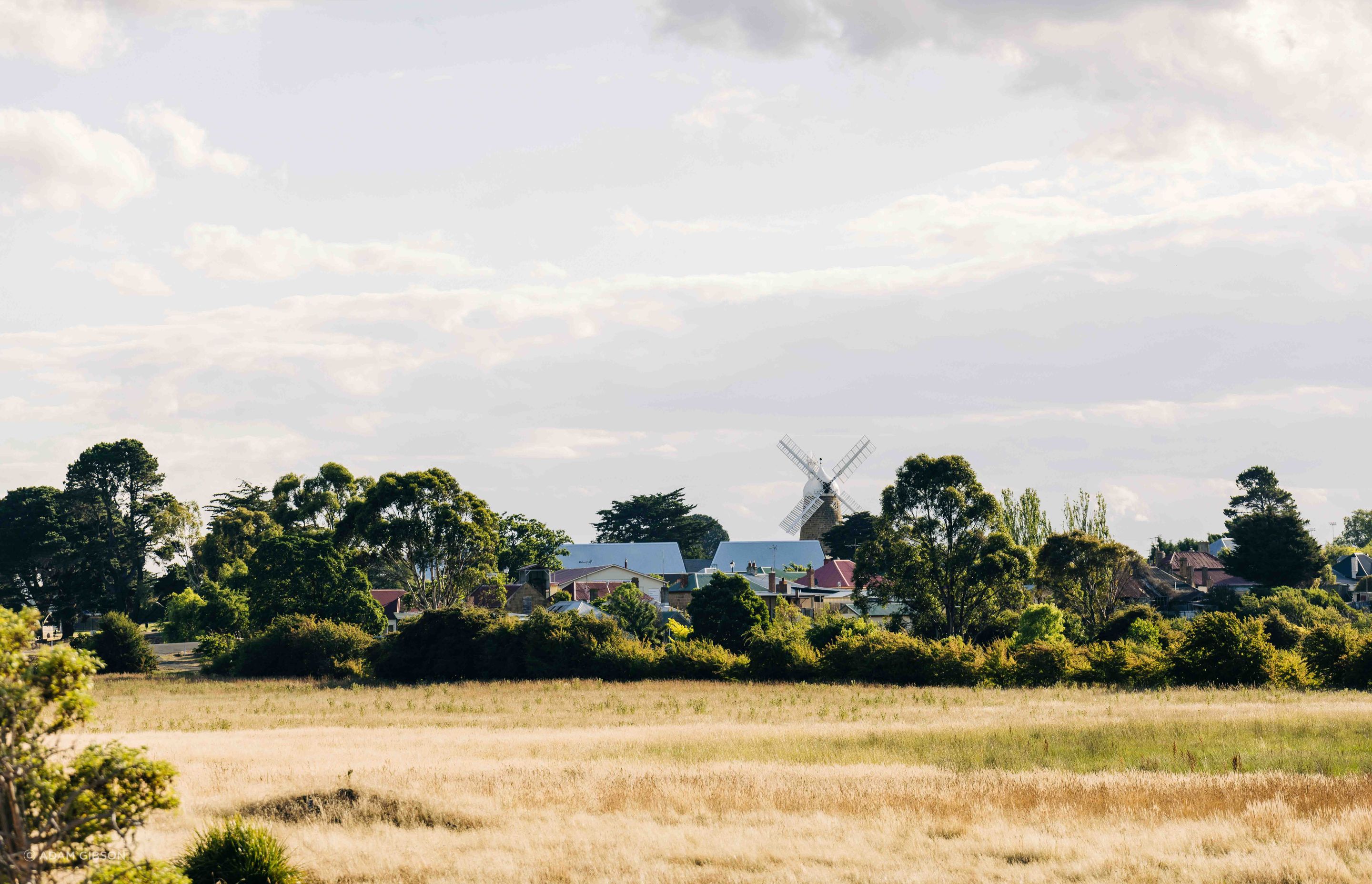 Callington Mill Distillery