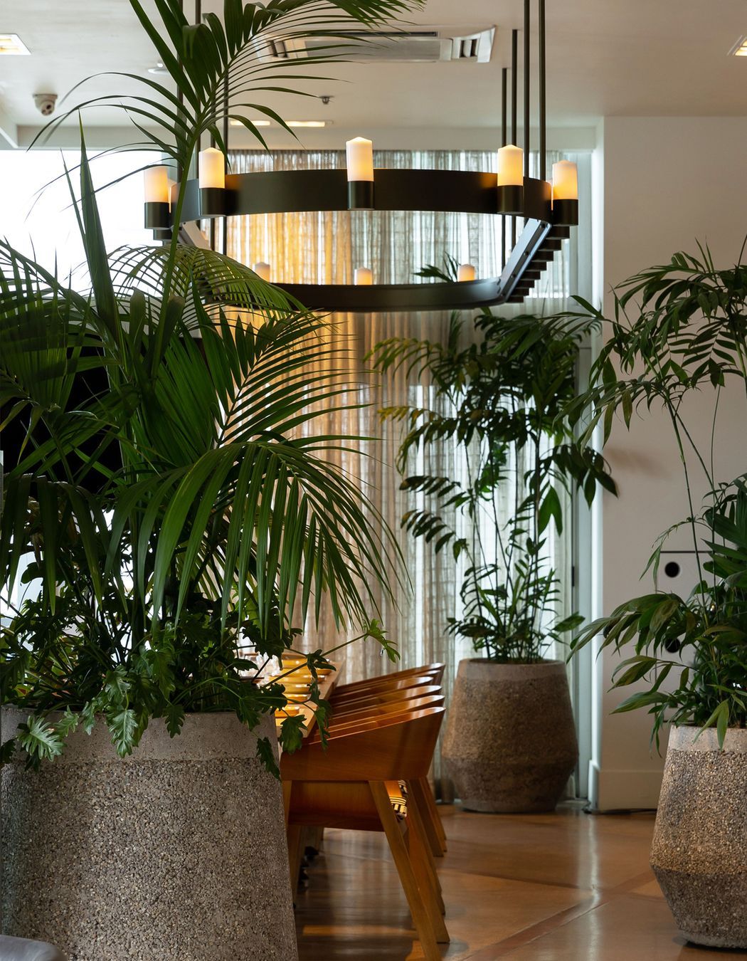 Euro | Princes Wharf, Auckland