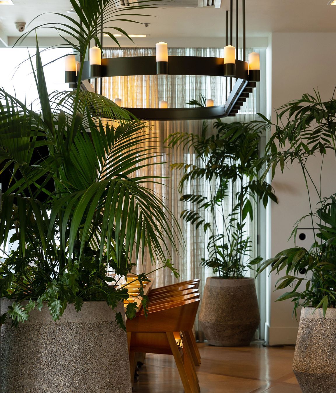 Euro | Princes Wharf, Auckland