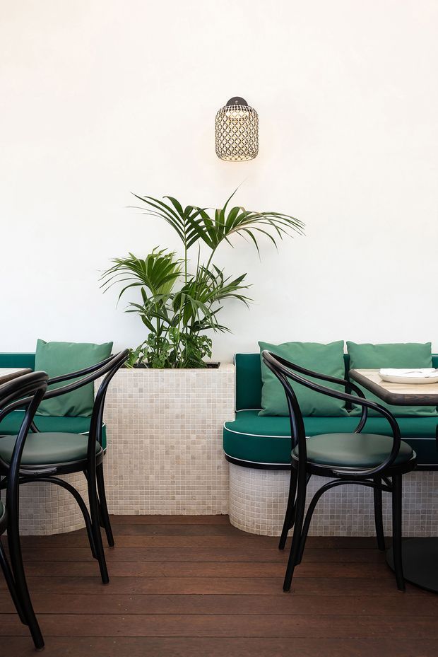 A bright, compact dining area with dark timber flooring, white walls, teal upholstered bench seating, black bentwood-style chairs, and a tiled raised planter filled with palms. A woven pendant light hangs above, creating a fresh tropical-inspired interior.