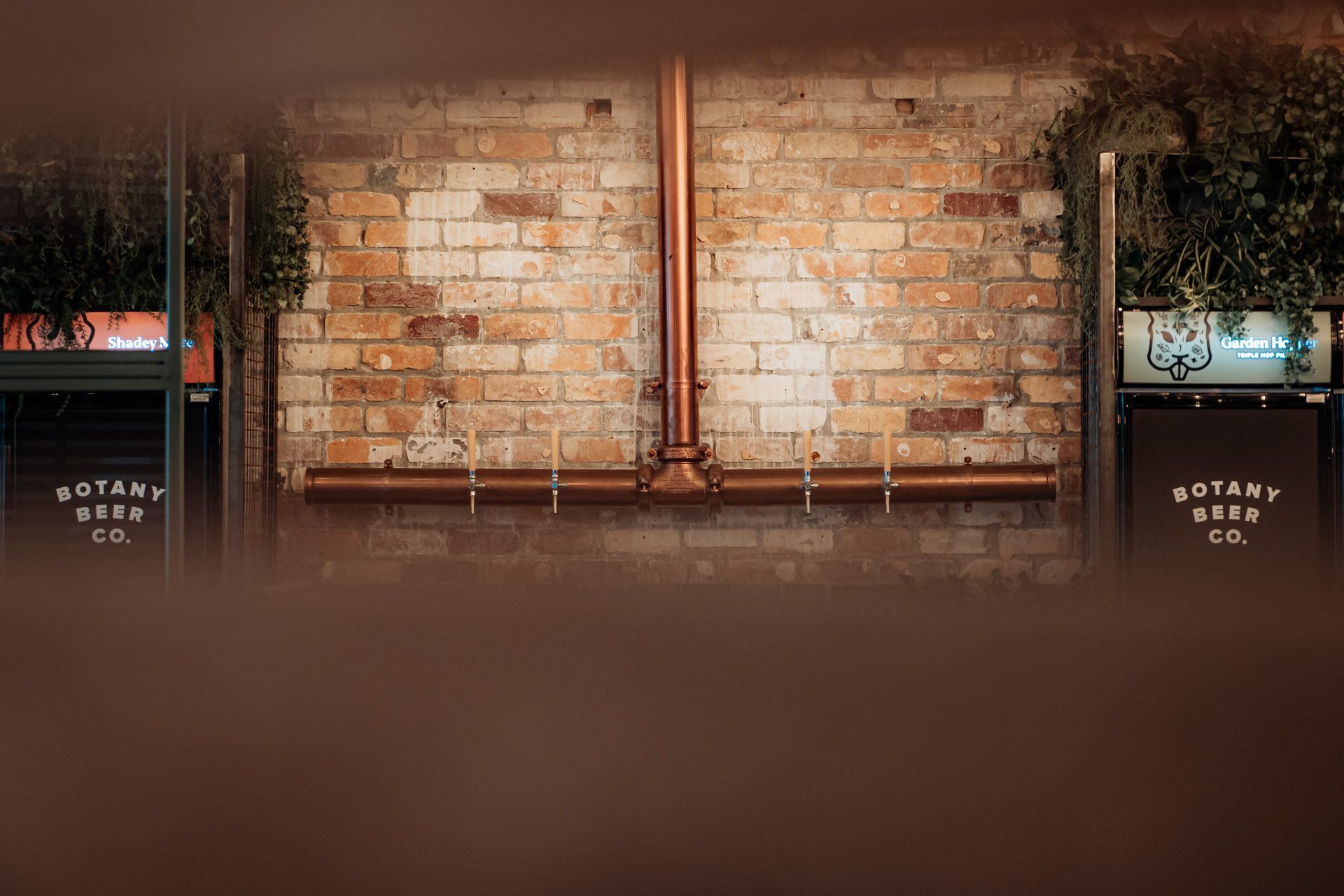 McGregor Masonry - Commercial - Botany Commons