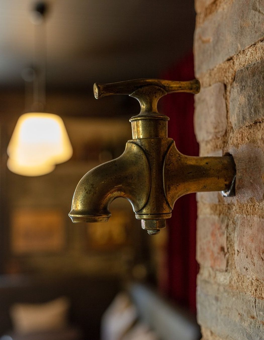 The Fork & Tap