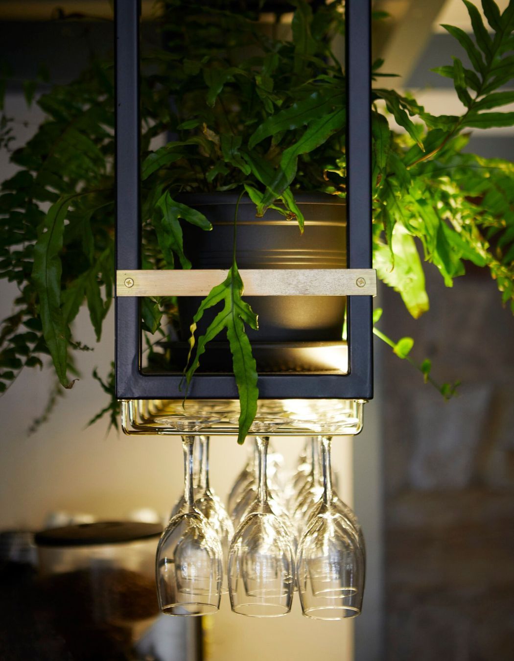 Surveyor General Inn Project