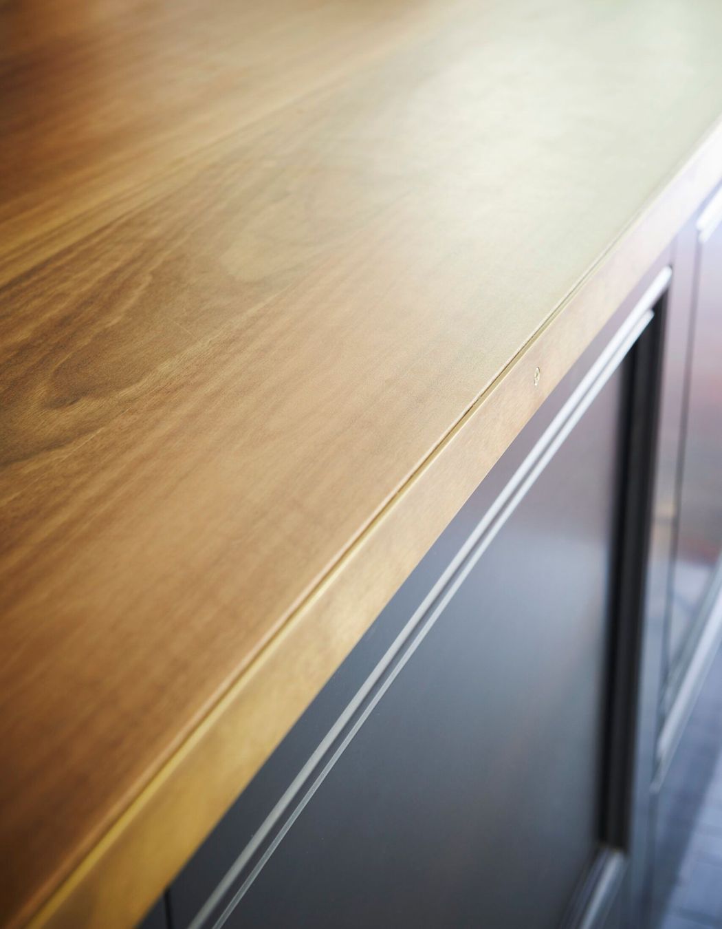 Surveyor General Inn Project