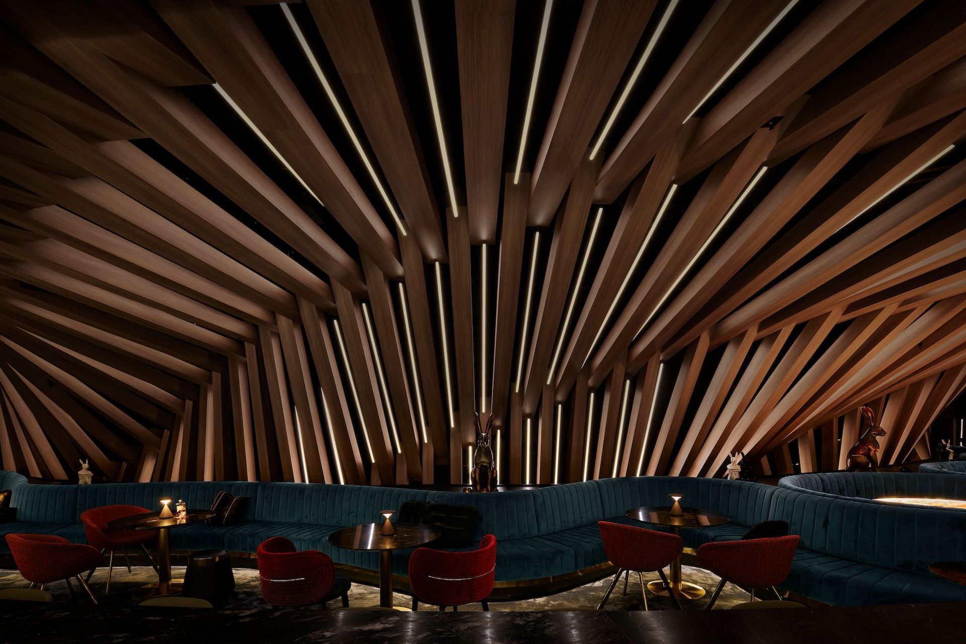 Curious Bar