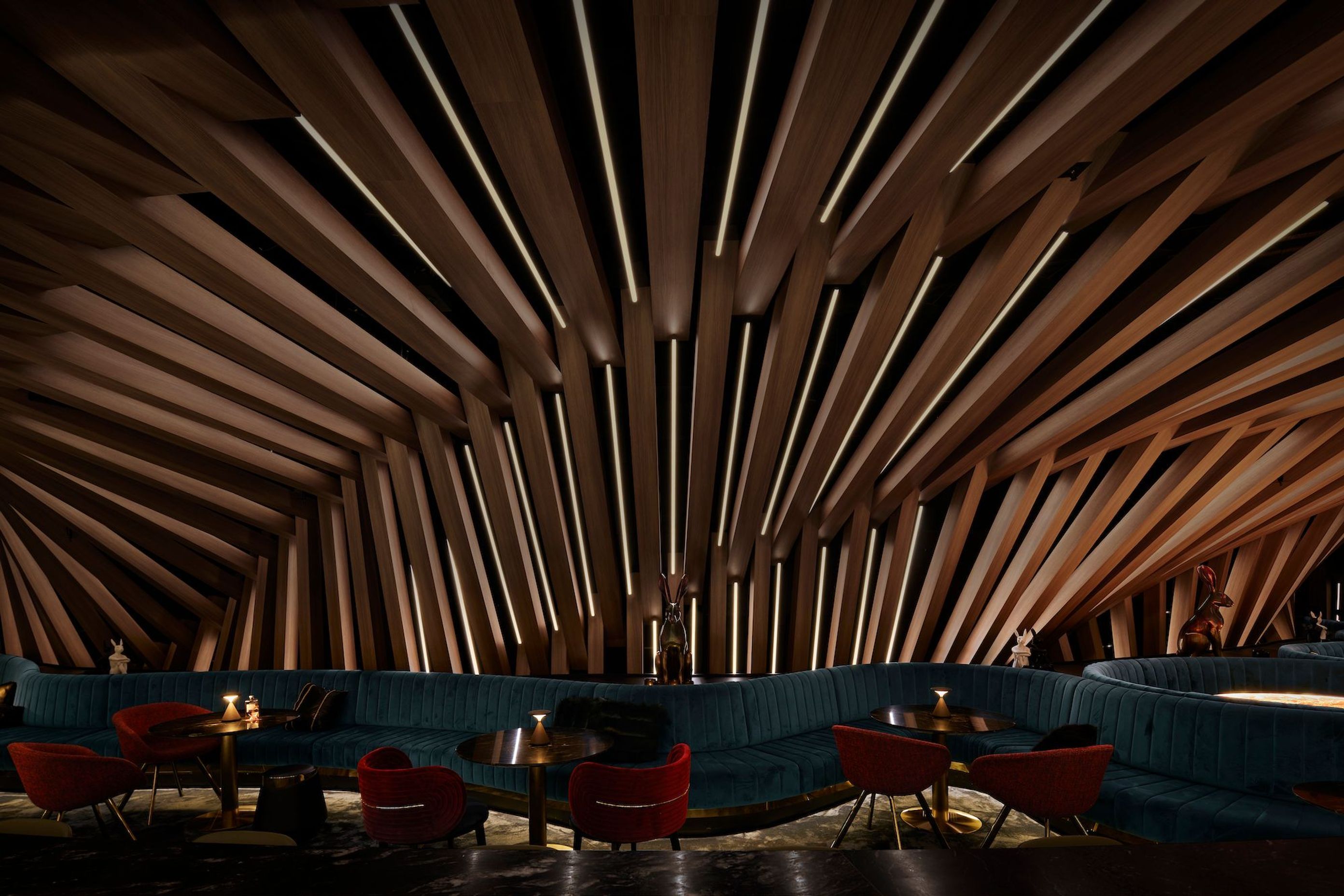 Curious Bar